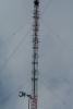 231-3110-sm_t1.jpg