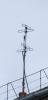 dscf7981_t1.jpg